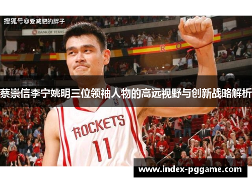 蔡崇信李宁姚明三位领袖人物的高远视野与创新战略解析