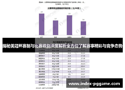 揭秘美冠杯赛制与比赛级别深度解析全方位了解赛事精彩与竞争态势