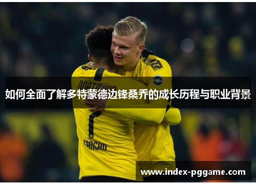 如何全面了解多特蒙德边锋桑乔的成长历程与职业背景