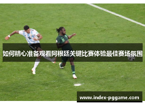 如何精心准备观看阿根廷关键比赛体验最佳赛场氛围