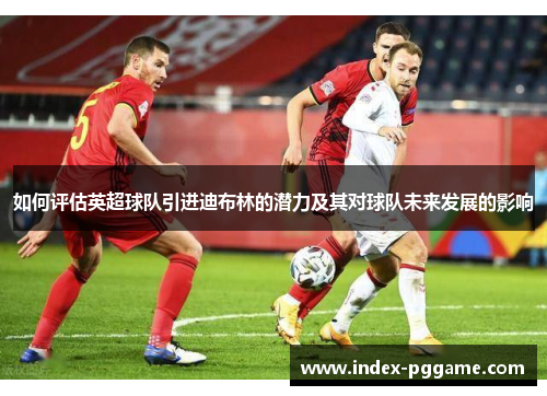 如何评估英超球队引进迪布林的潜力及其对球队未来发展的影响 如何评估英超球队引进迪布林的潜力及其对球队未来发展的影响