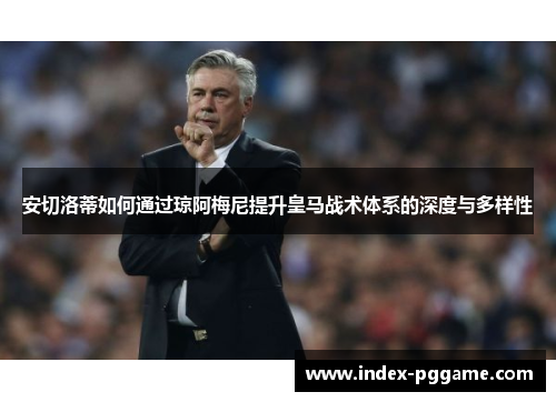 安切洛蒂如何通过琼阿梅尼提升皇马战术体系的深度与多样性