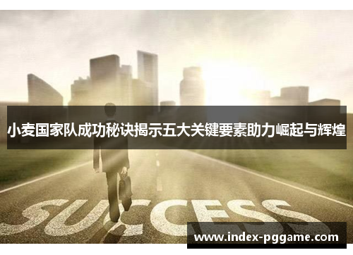 小麦国家队成功秘诀揭示五大关键要素助力崛起与辉煌 小麦国家队成功秘诀揭示五大关键要素助力崛起与辉煌